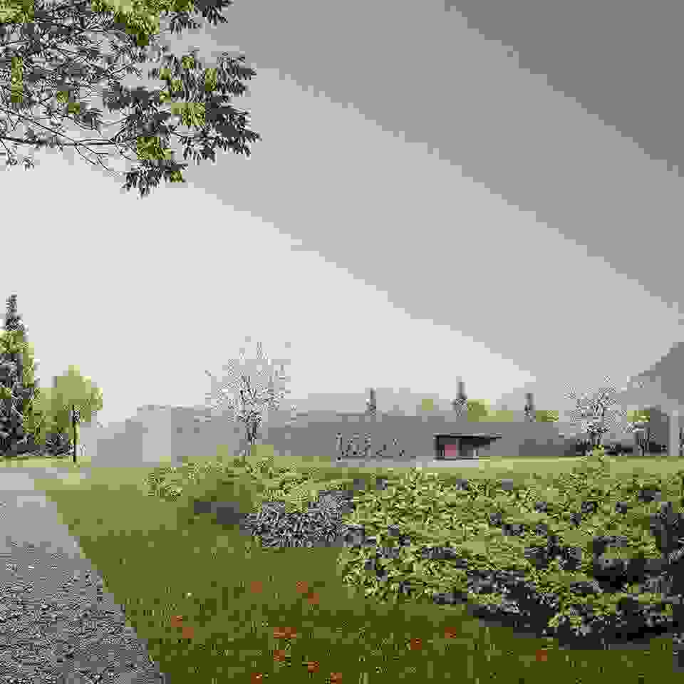 wp_960x960.jpg