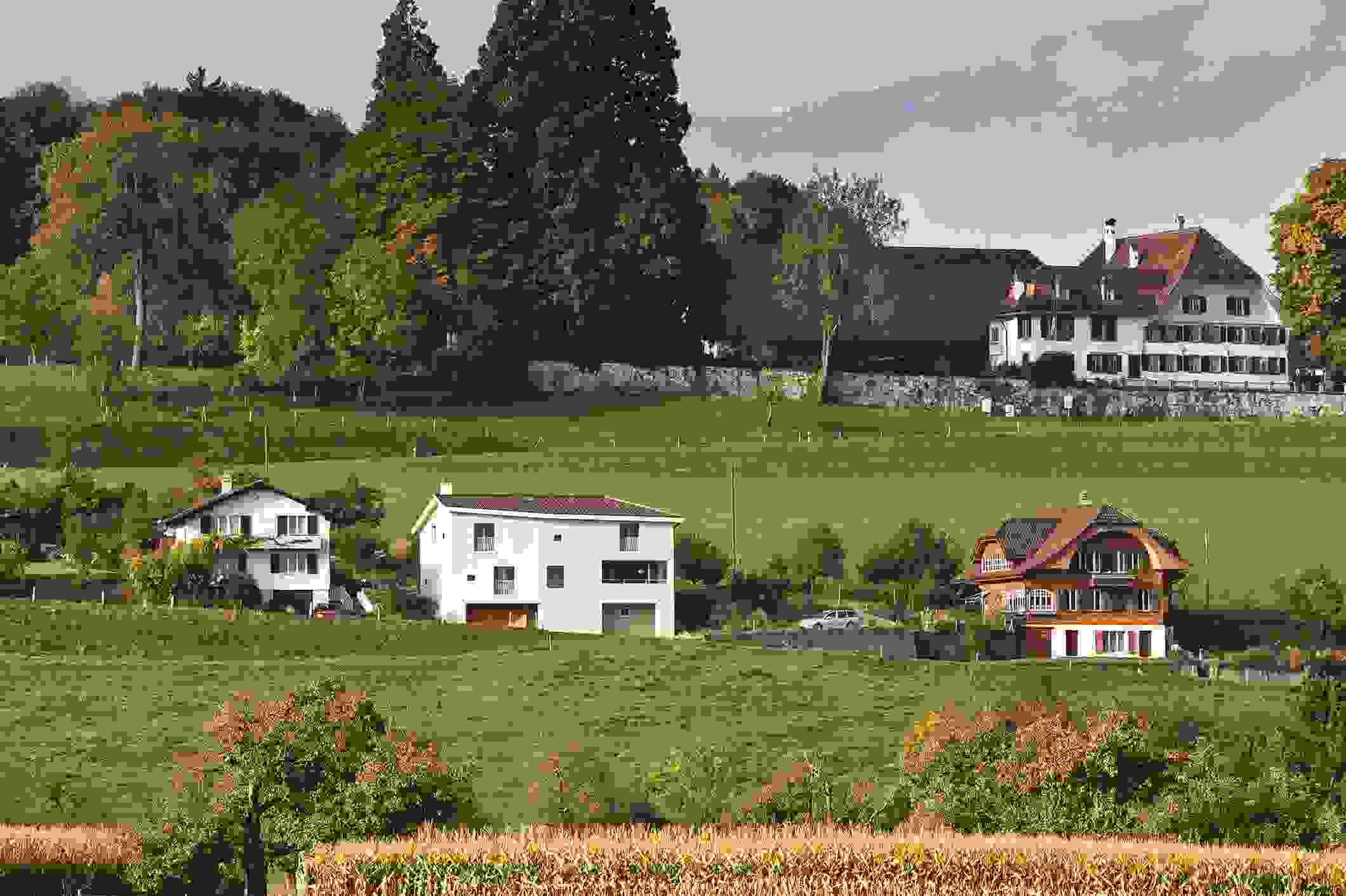 7_35-dor.jpg