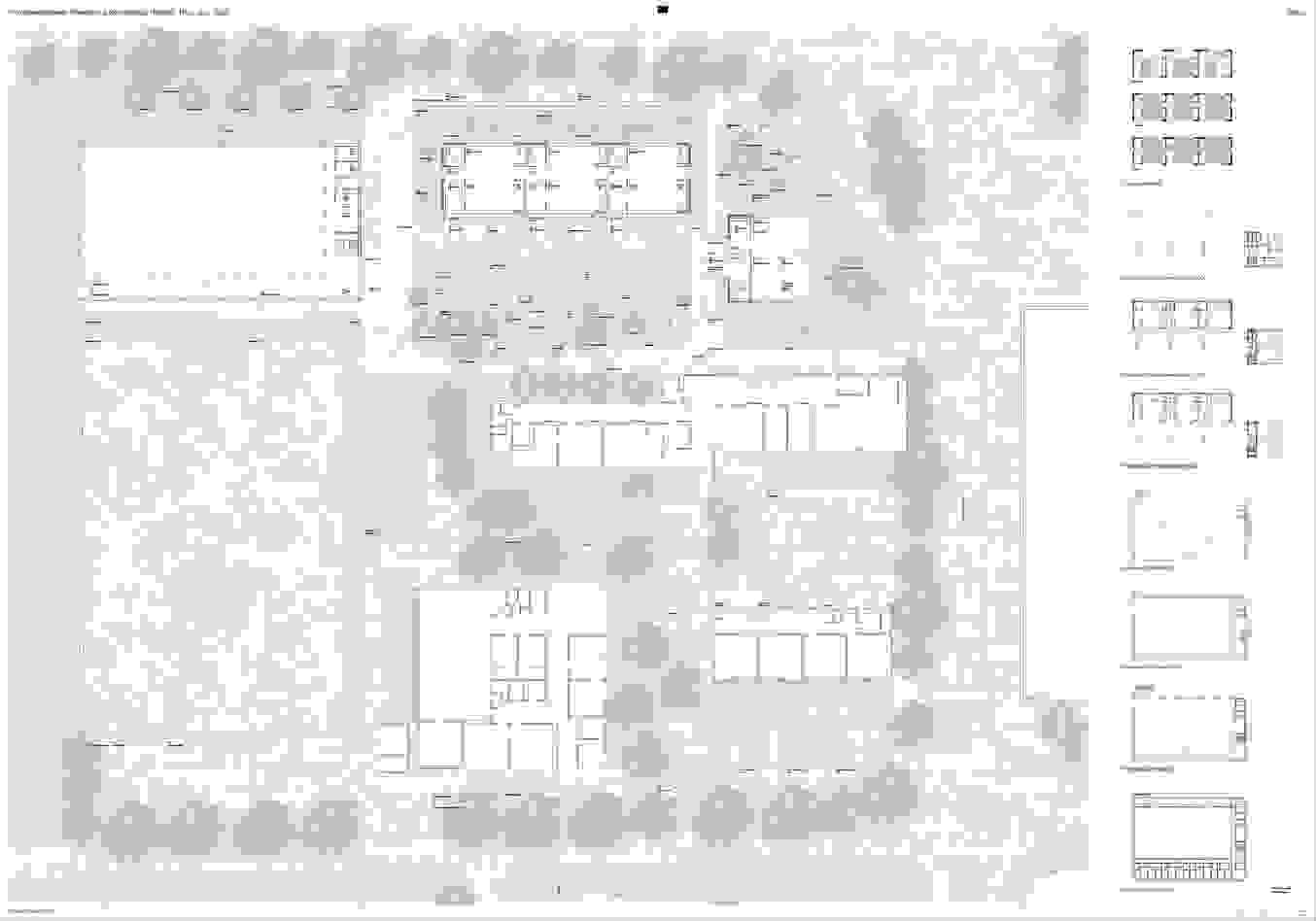 nef-3.jpg